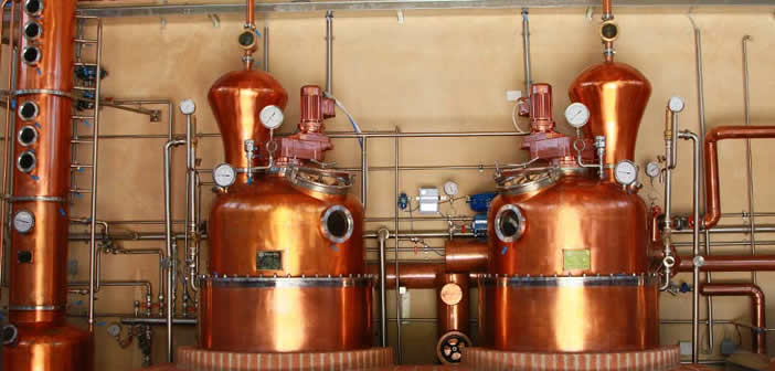 Distilleria