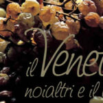 Il Veneto e la tradizione vinicola