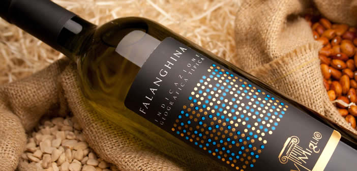 vino falanghina