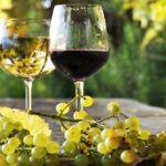 Dall’Amarone al Brunello, ecco i vini più amati del panorama italiano