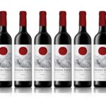 Wagon Valley, Shirz, vino rosso, 2018, 75 cl, 6 bottiglie
