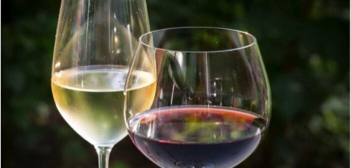 Come scegliere il bicchiere di vino giusto: la guida completa